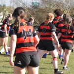 shannon rfc v Killarney rfc U16 Girls