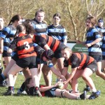 shannon rfc v Killarney rfc U16 Girls