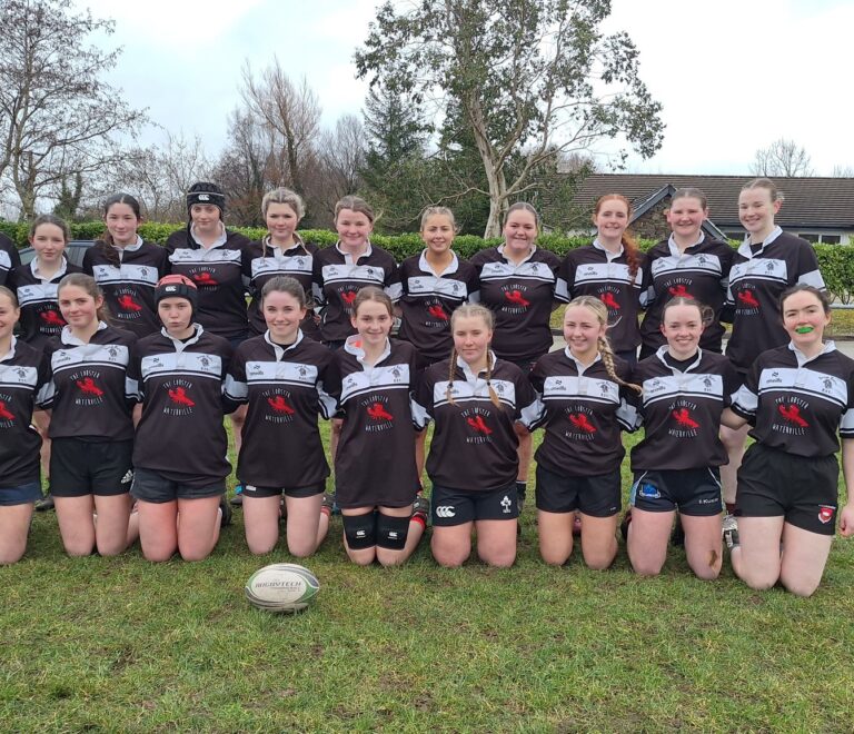 u18.5 girls win a place in the Munster League final